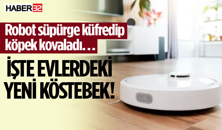 Robot süpürge küfredip köpek kovaladı…