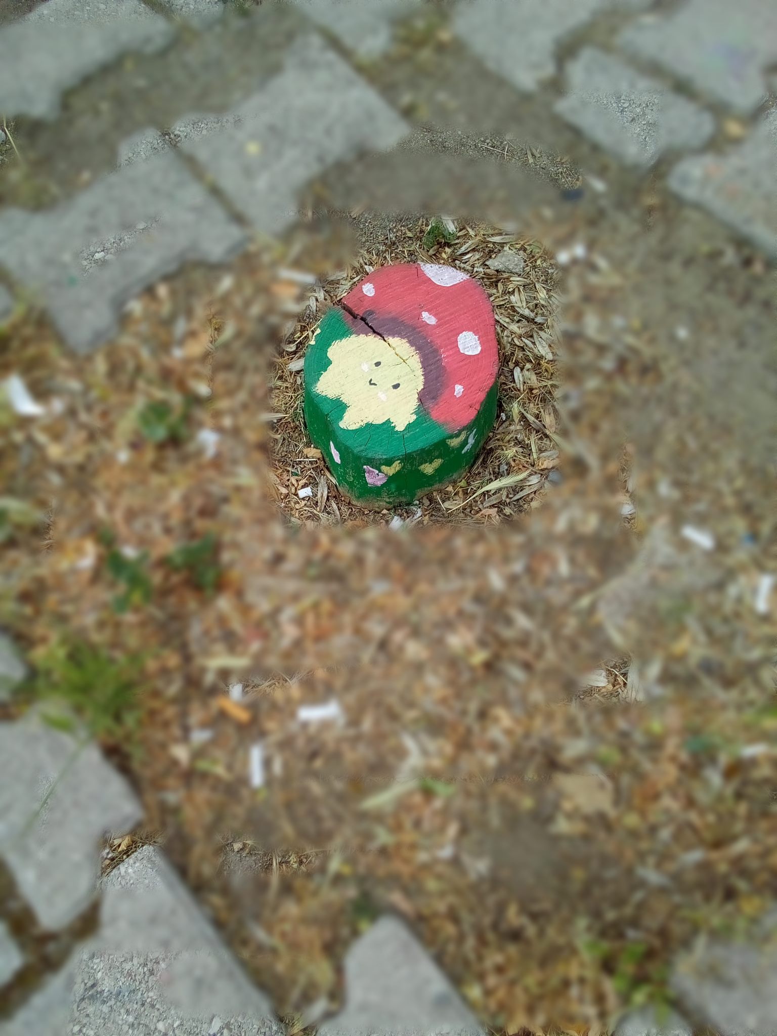 Ağaç Kütüklerini Renklendirdiler (1)-1