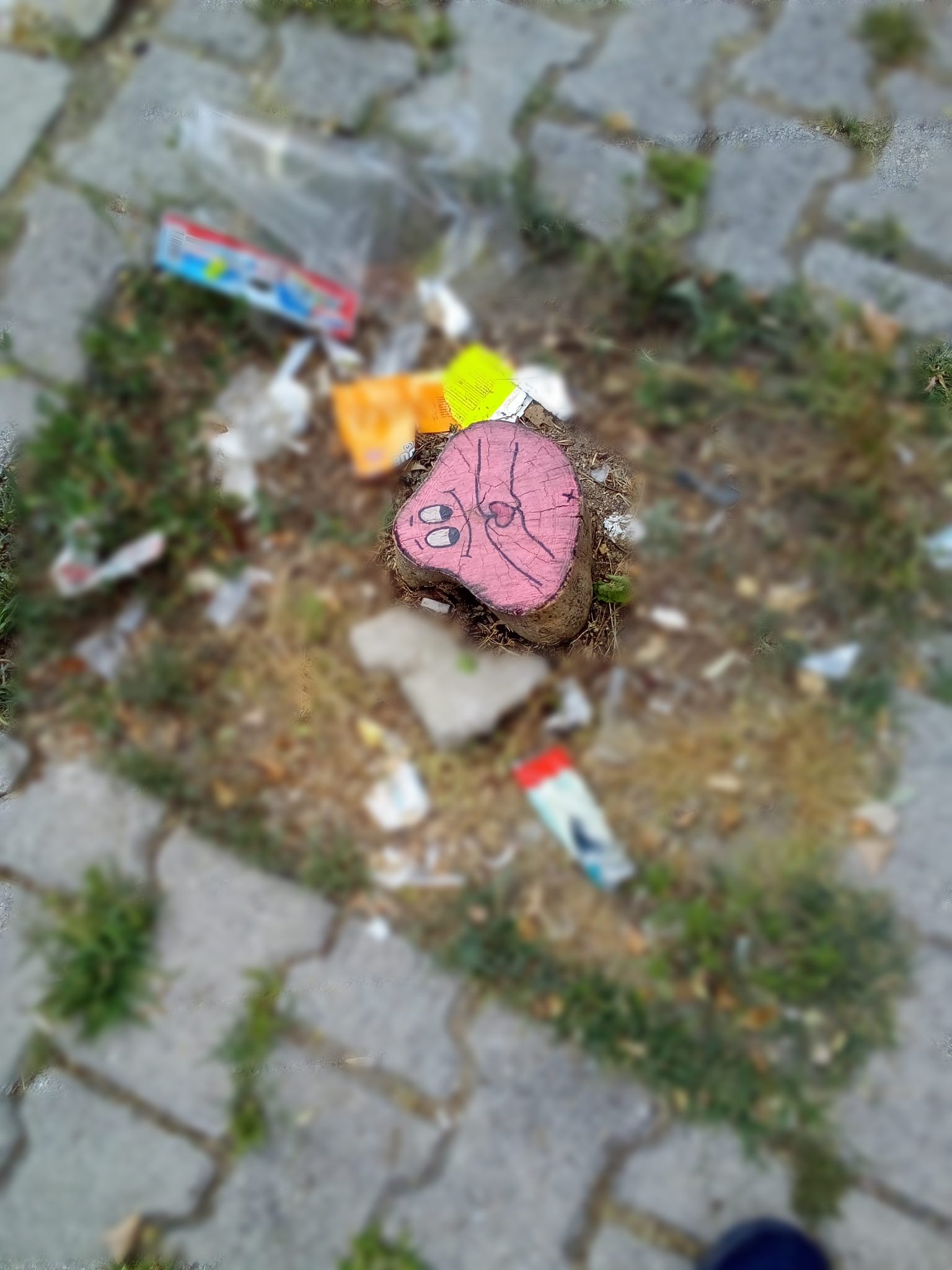 Ağaç Kütüklerini Renklendirdiler (1)