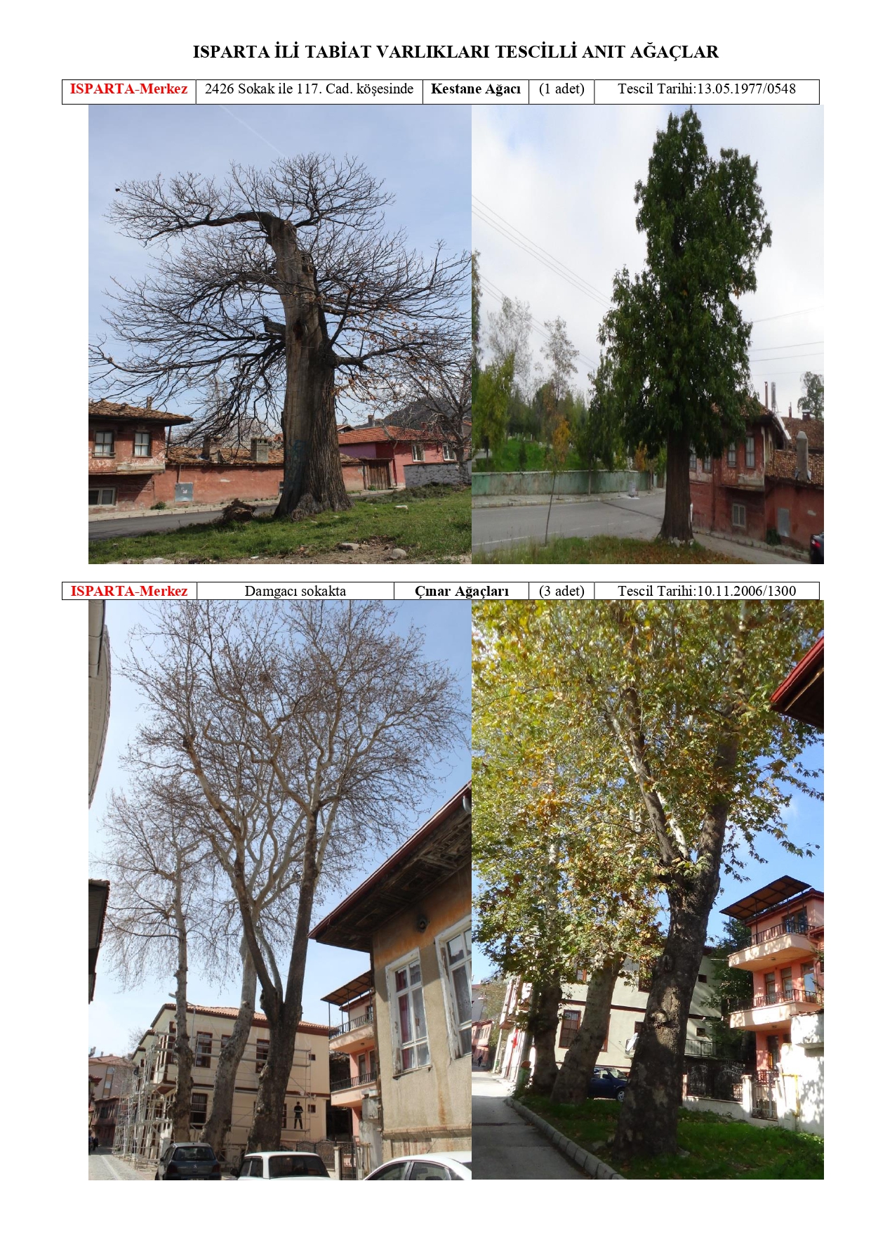 Isparta Ili Tabiat Varliklari Tescilli Anit Agaclar 20180511114844 Page 0001