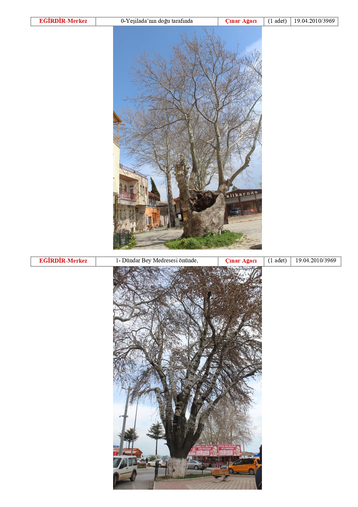 Isparta Ili Tabiat Varliklari Tescilli Anit Agaclar 20180511114844 Page 0003