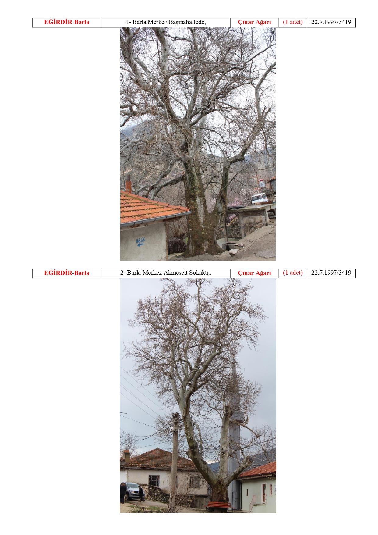 Isparta Ili Tabiat Varliklari Tescilli Anit Agaclar 20180511114844 Page 0005