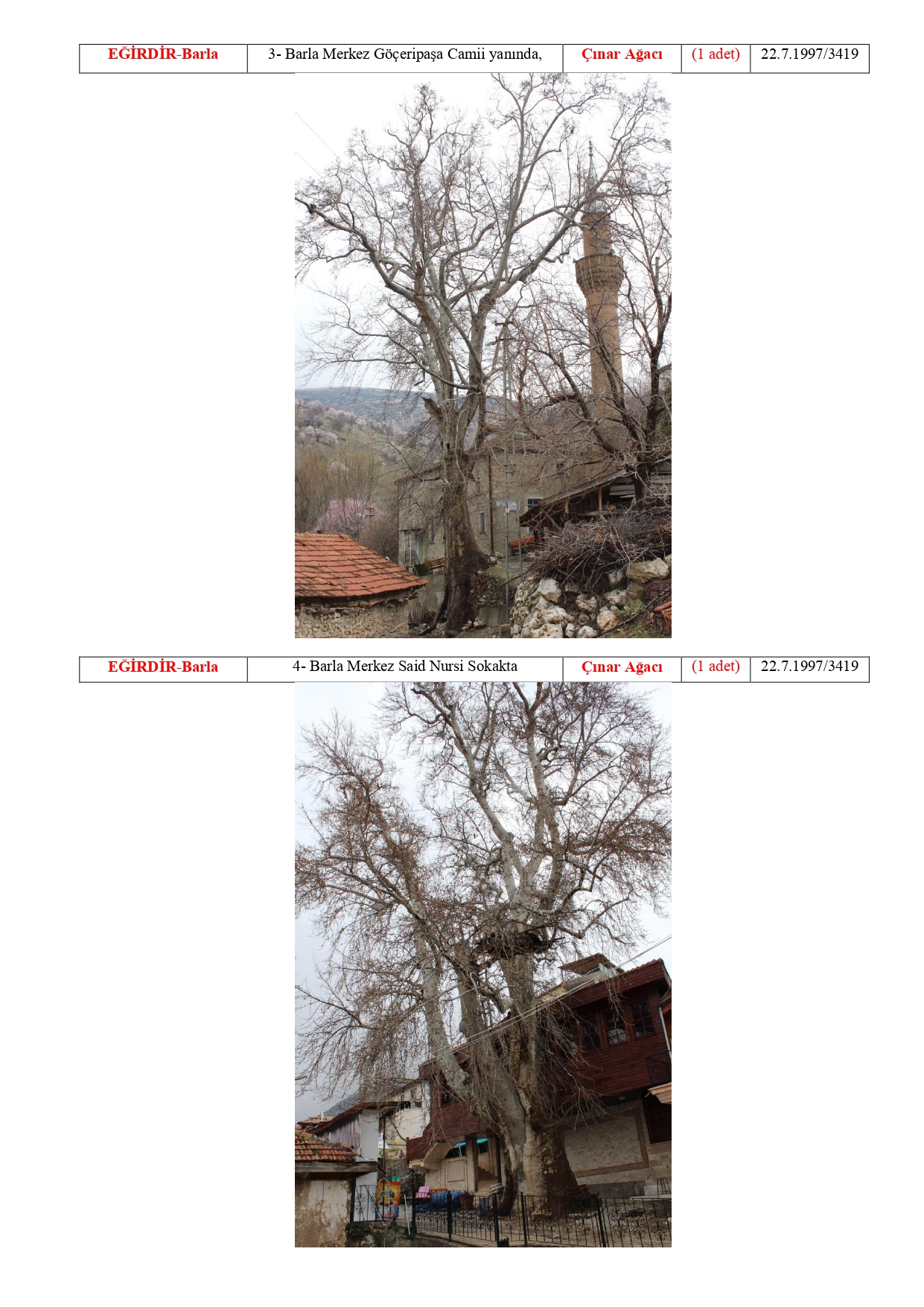 Isparta Ili Tabiat Varliklari Tescilli Anit Agaclar 20180511114844 Page 0006