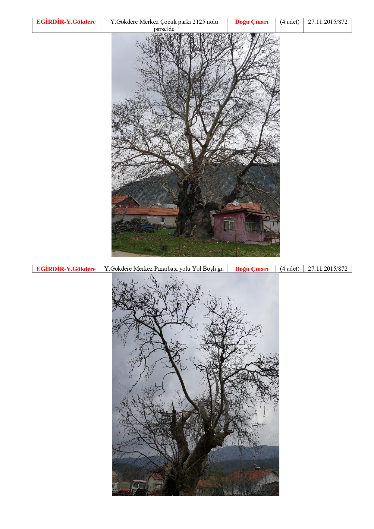 Isparta Ili Tabiat Varliklari Tescilli Anit Agaclar 20180511114844 Page 0007