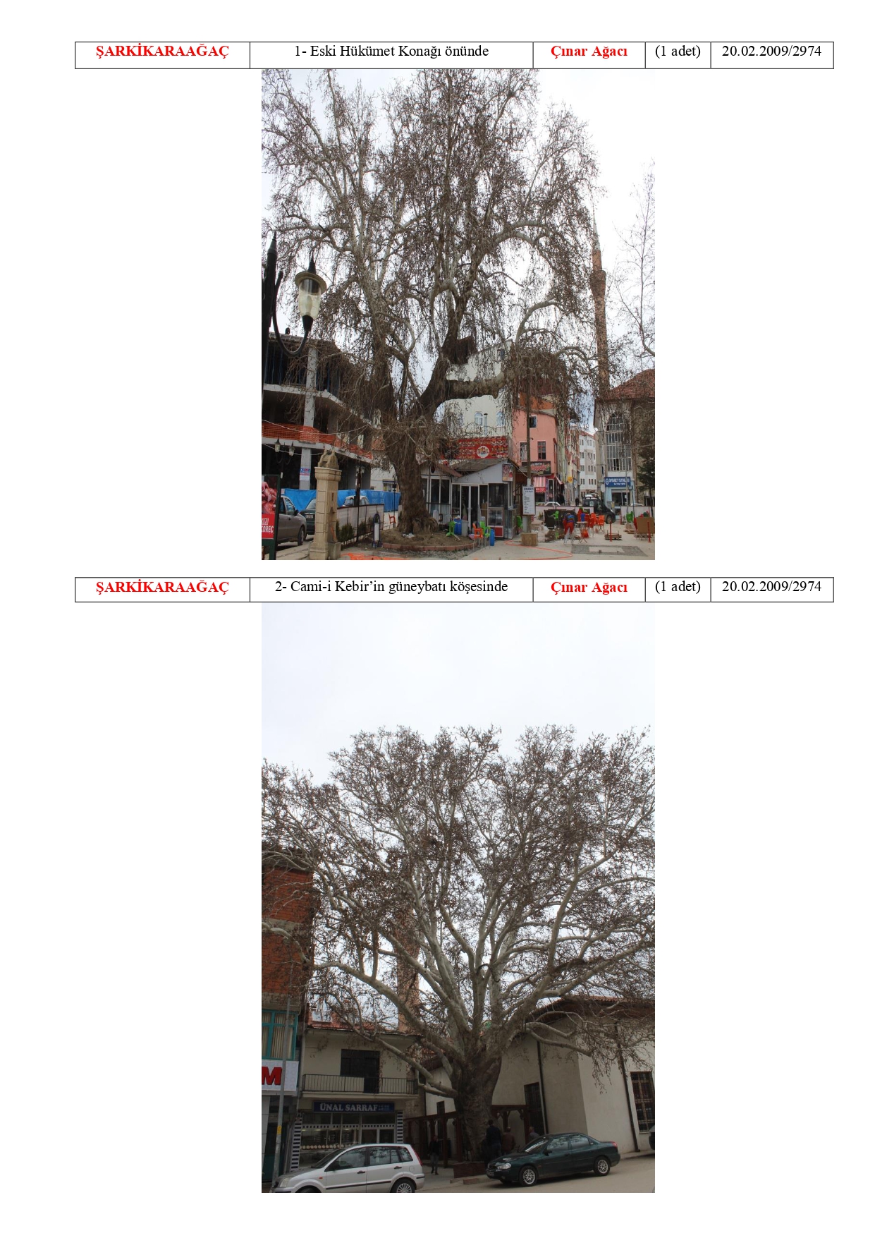 Isparta Ili Tabiat Varliklari Tescilli Anit Agaclar 20180511114844 Page 0012
