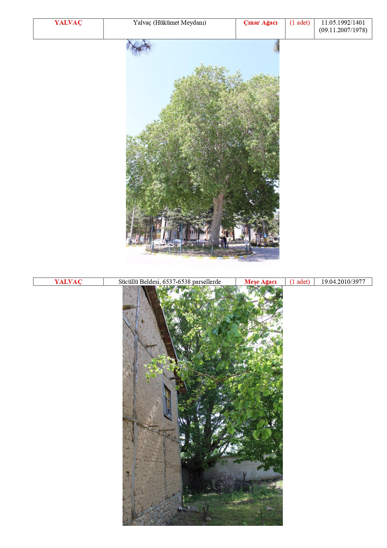 Isparta Ili Tabiat Varliklari Tescilli Anit Agaclar 20180511114844 Page 0015