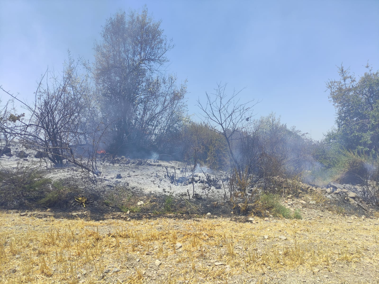 Ayazmana Yangın (4)
