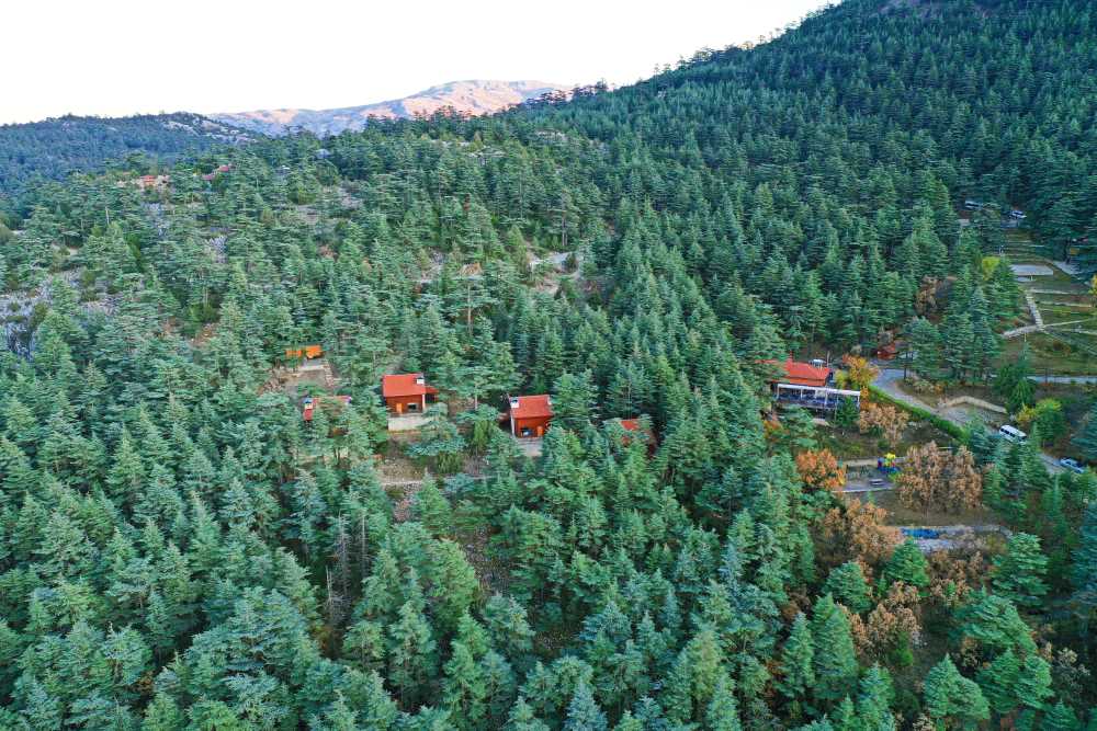 Isparta 13, (5)