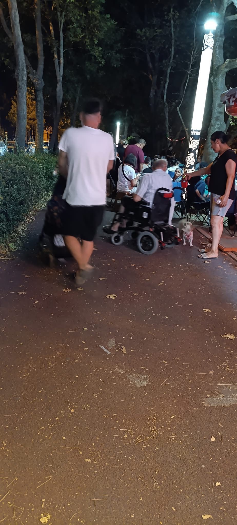 1F126D8C 7A4A 4B47 93E0 A62E8De60743