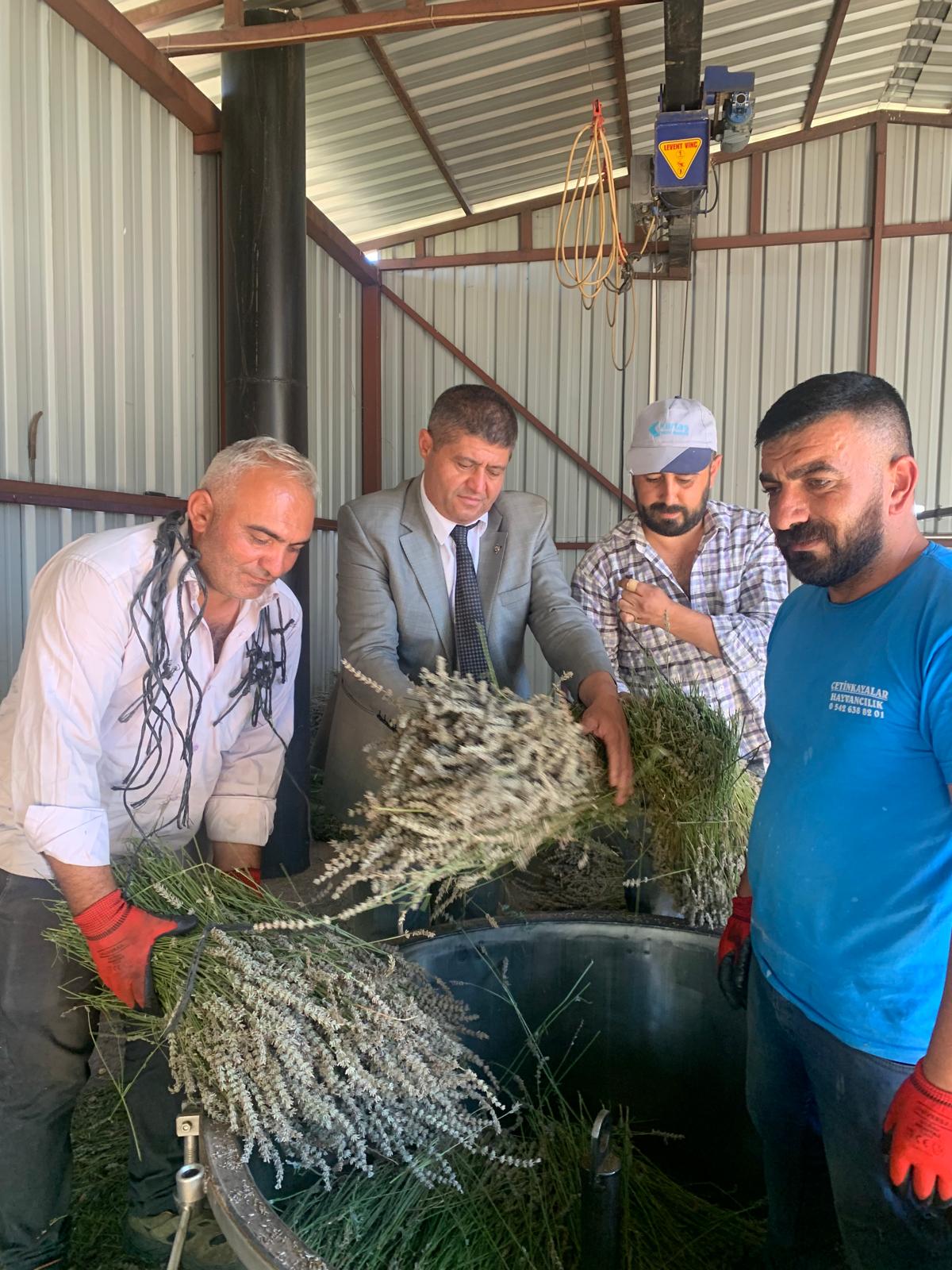 3Aa5Dc59 8166 49F4 B7E1 7C490316A5A0