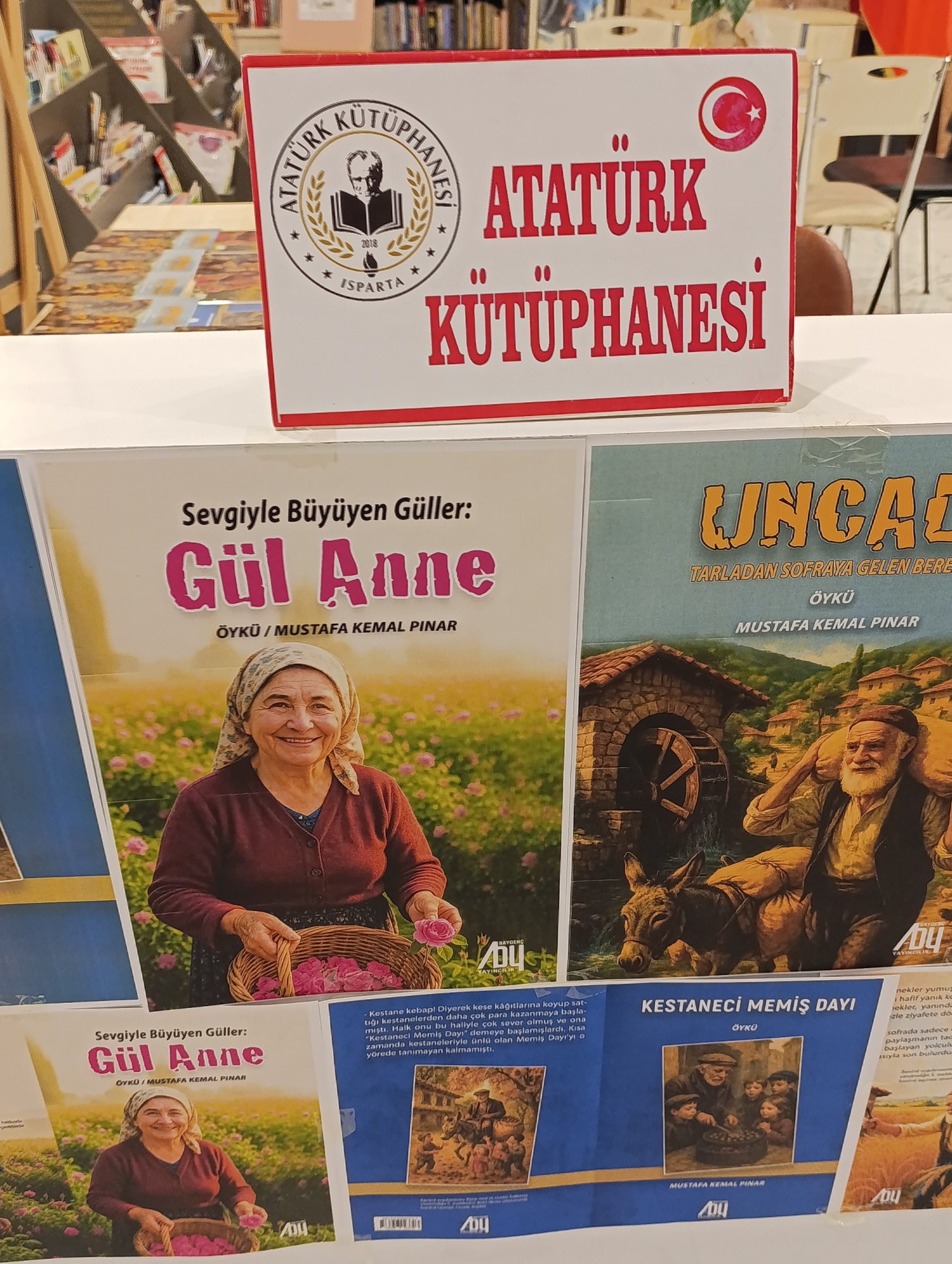 528812295 24336050856019956 1671141987010886056 N