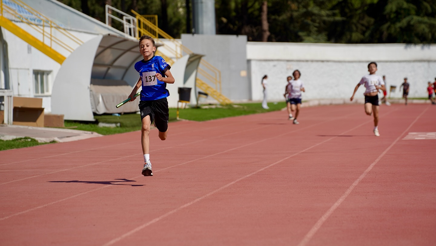 539951226 18292366801270693 3955305596066888032 N