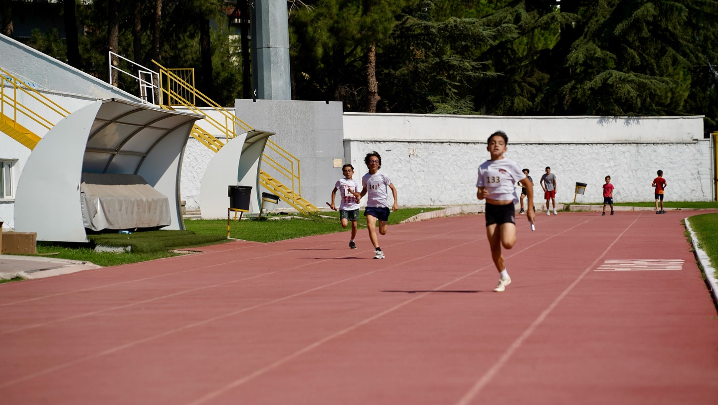 541143577 18292366810270693 7744719663293448023 N