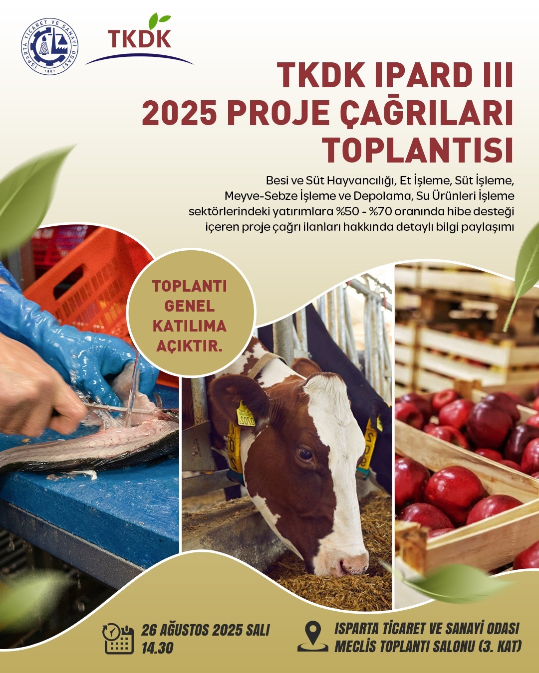 Whatsapp Image 2025 08 25 At 16.53.40