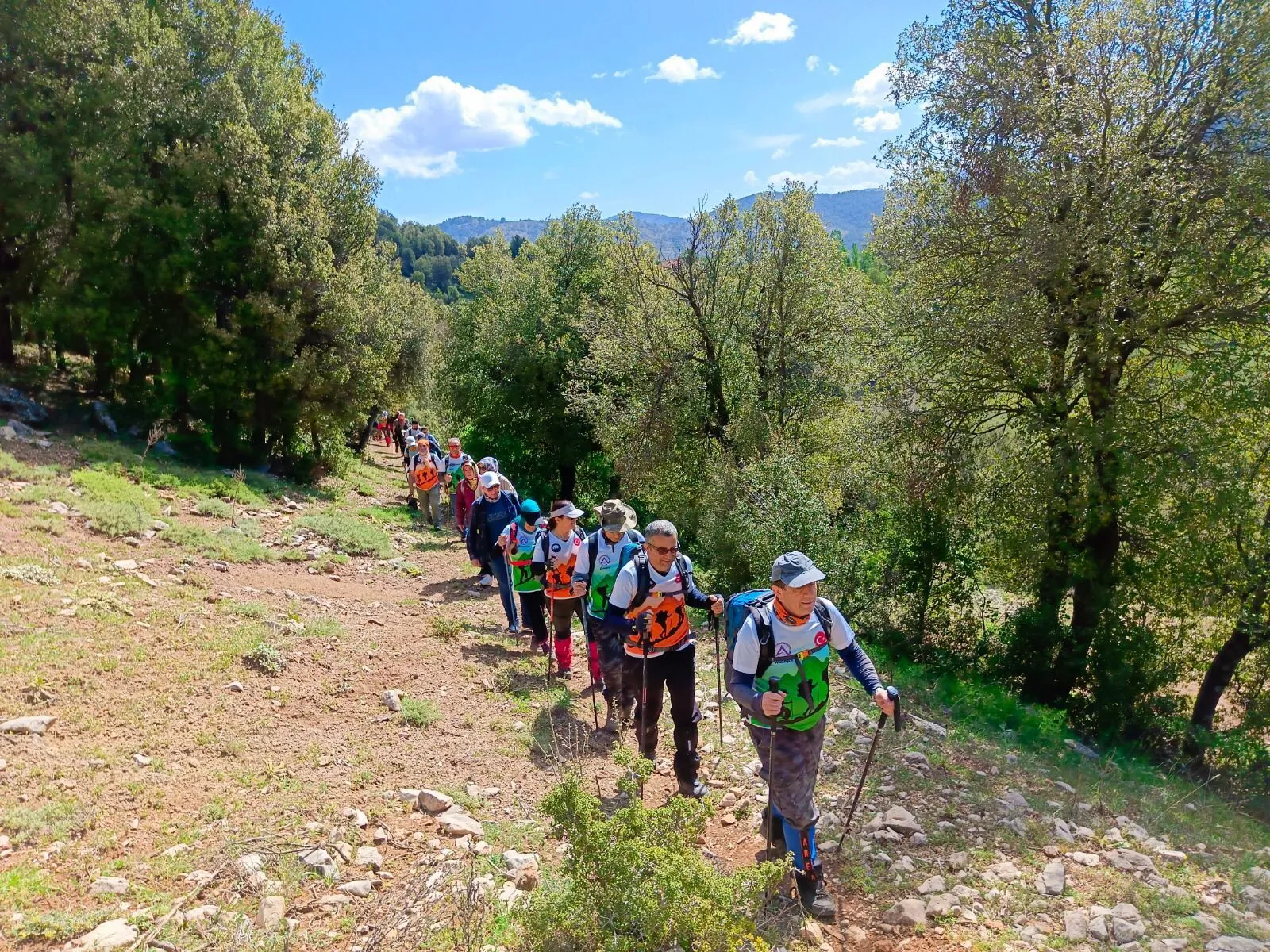 0977E565 E06E 4A74 A15A D7851060Dd31