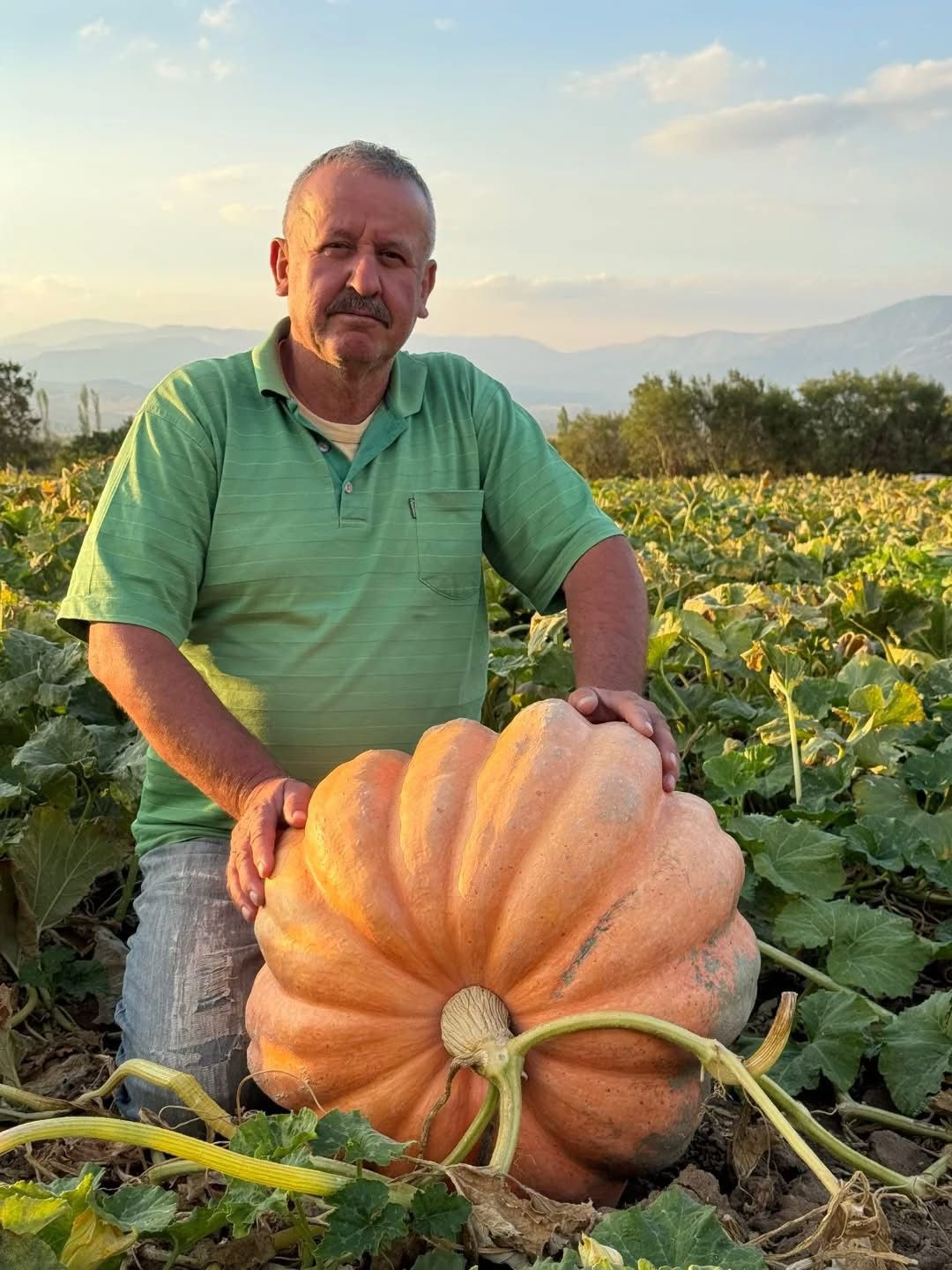 14608B16 791F 4878 90Df 92F3Ccb2Dd8A