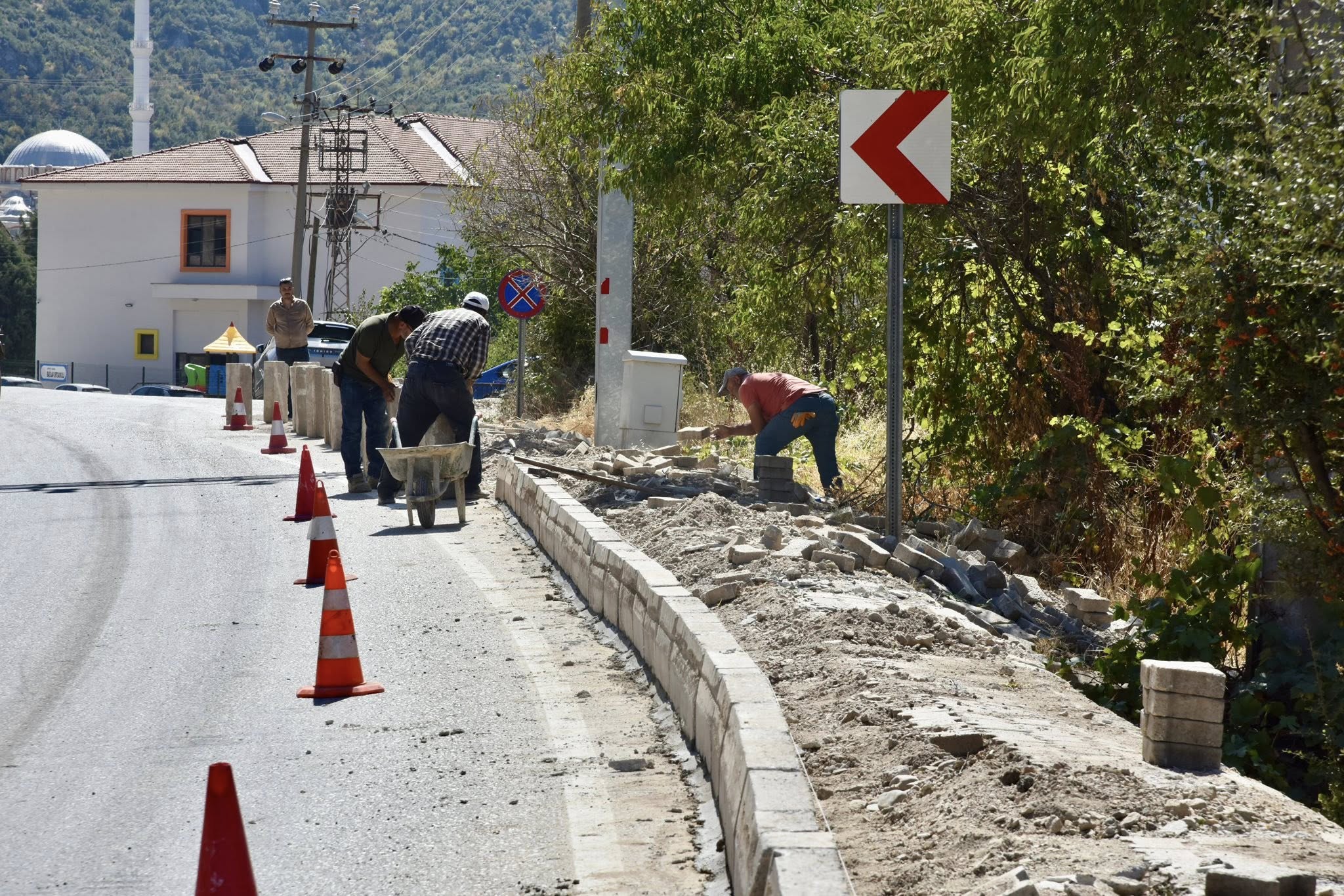 553845122 801741539050580 4861324018550967370 N