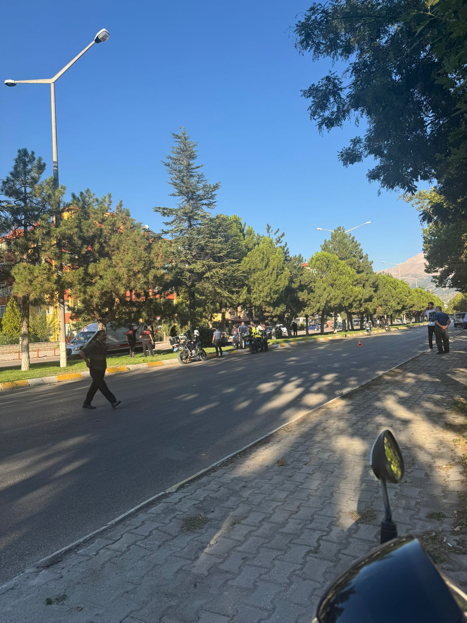 7D1462D4 1356 4F8A A8F3 Dcc3A2Eb2A84