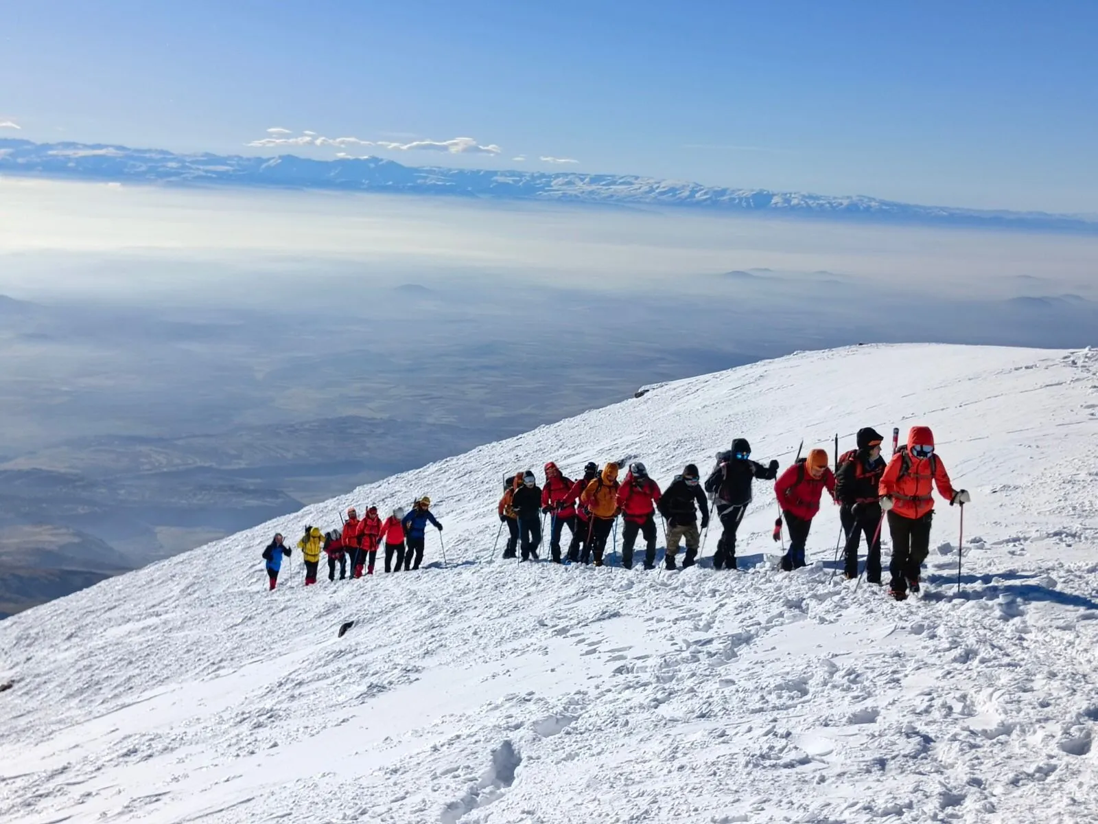 A8500361 36C9 4B0B B57B 660283E2084A