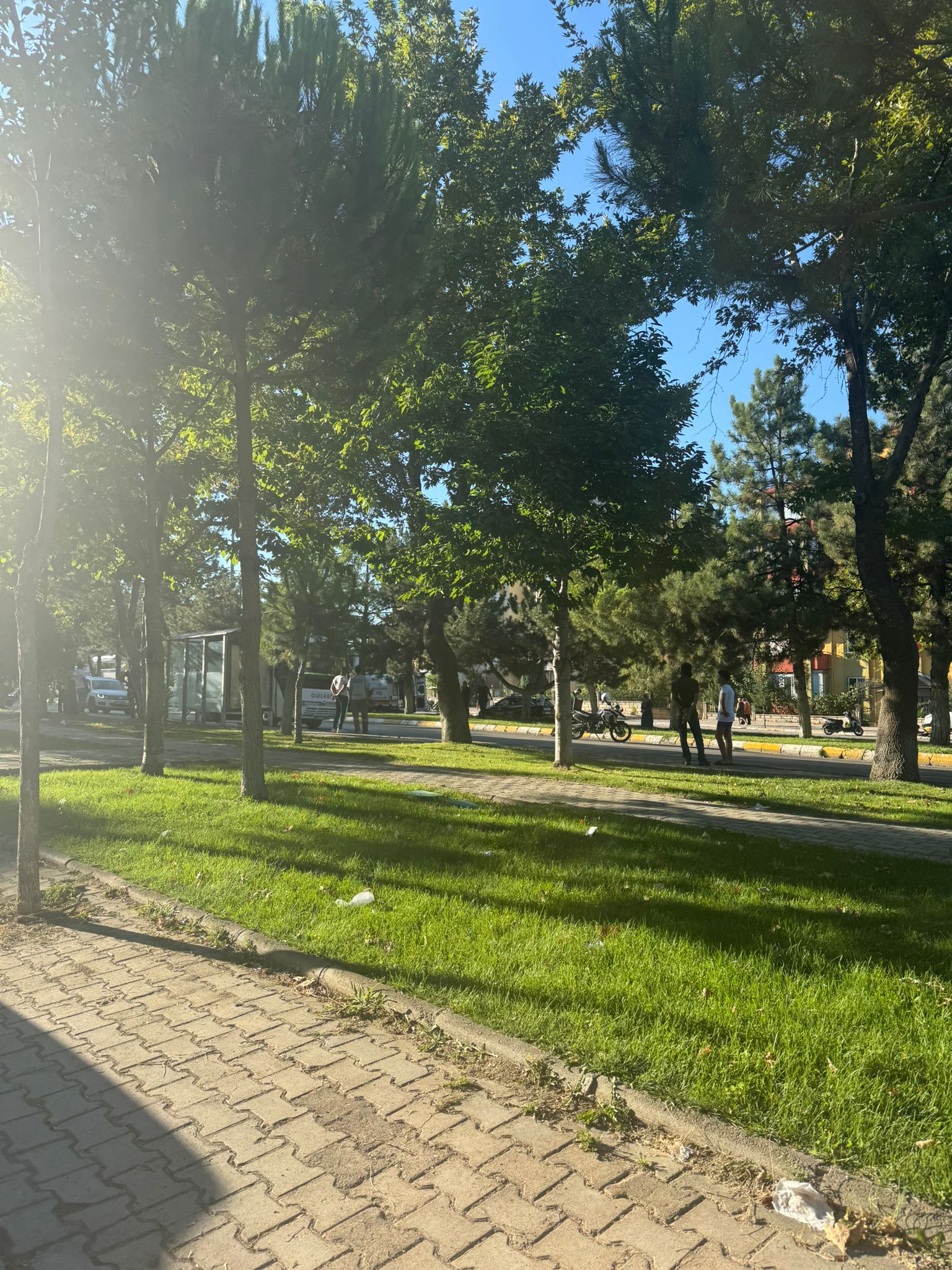 B4B2E450 A251 4Edf B8D5 653C74C38D66