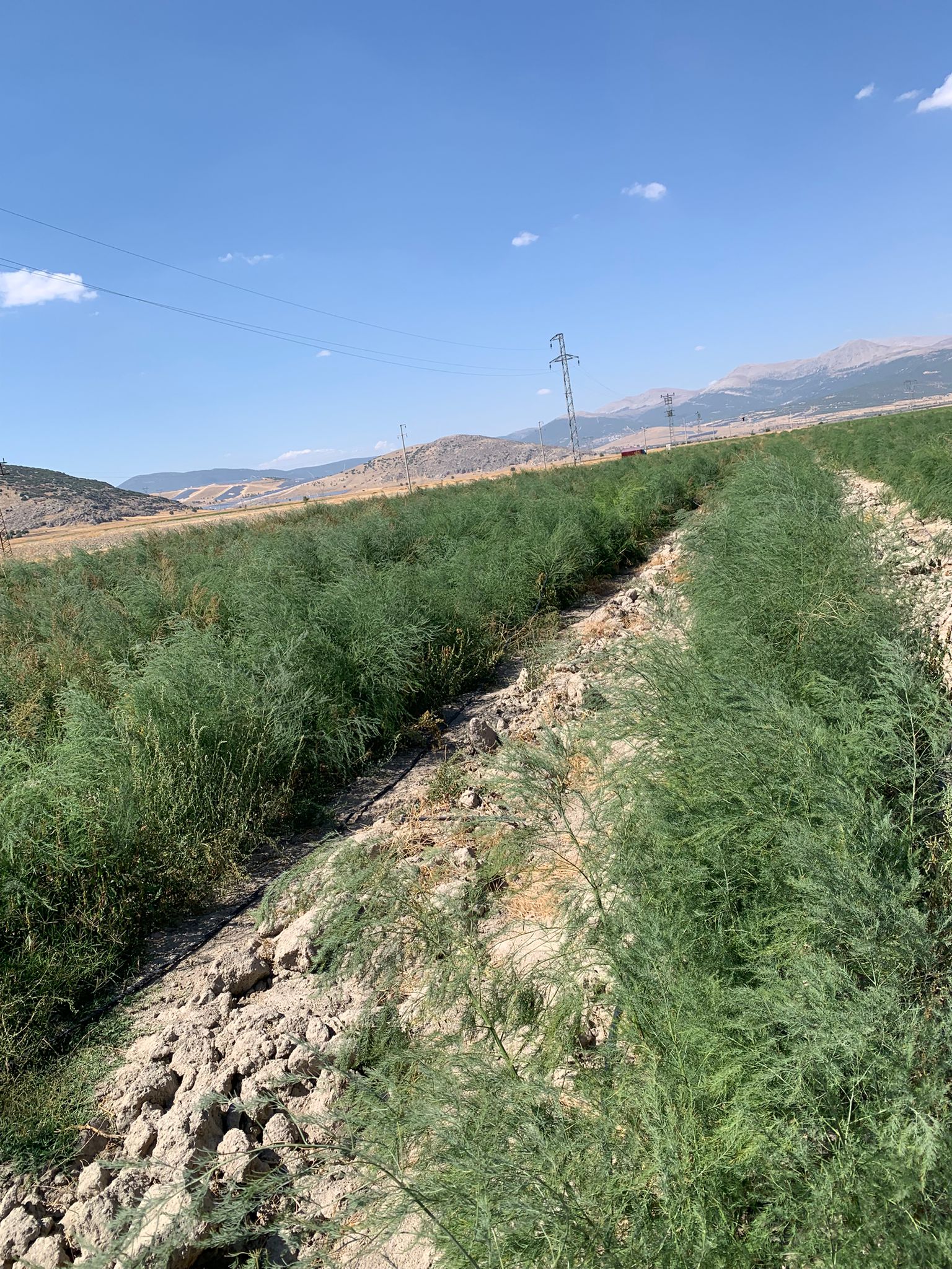 C3Dcdd68 49Bd 4Fd3 9553 6C84D15F0733