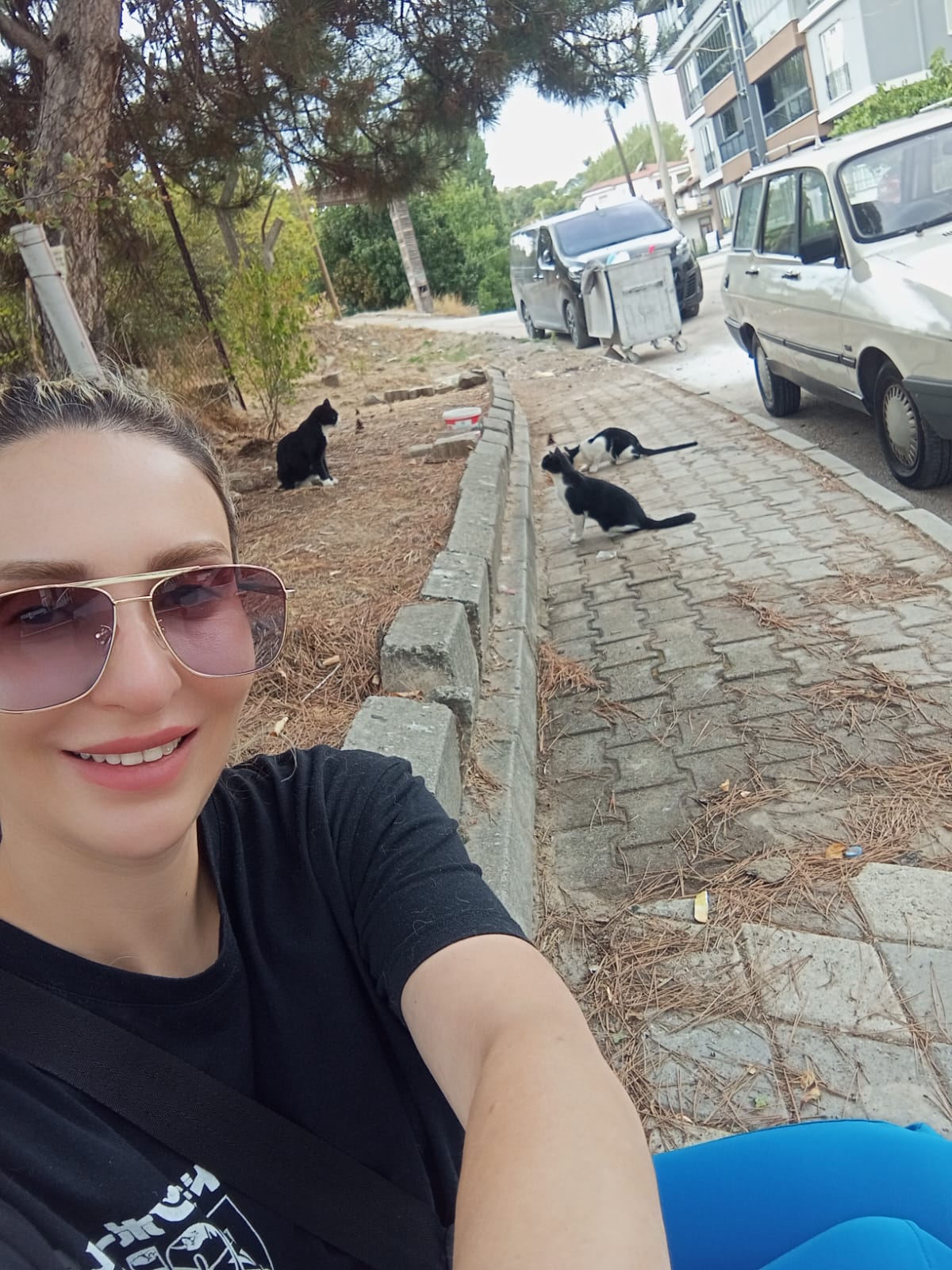 Defne Sokak Hayvanlari (2)