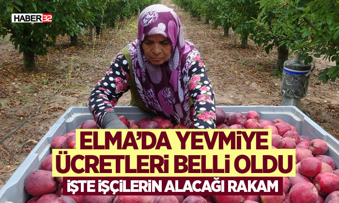 Elma’da Yevmiye Ücretleri Belli Oldu
