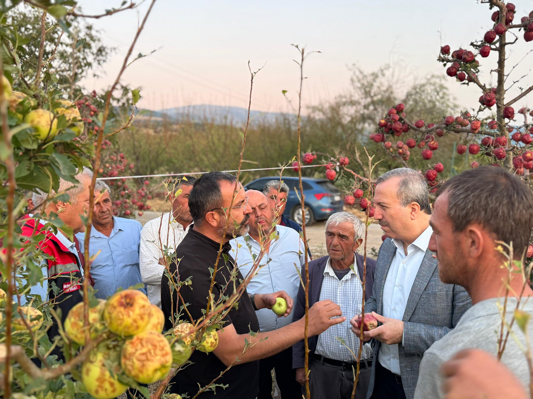 Gökgöz Alme Üreticileri (1)