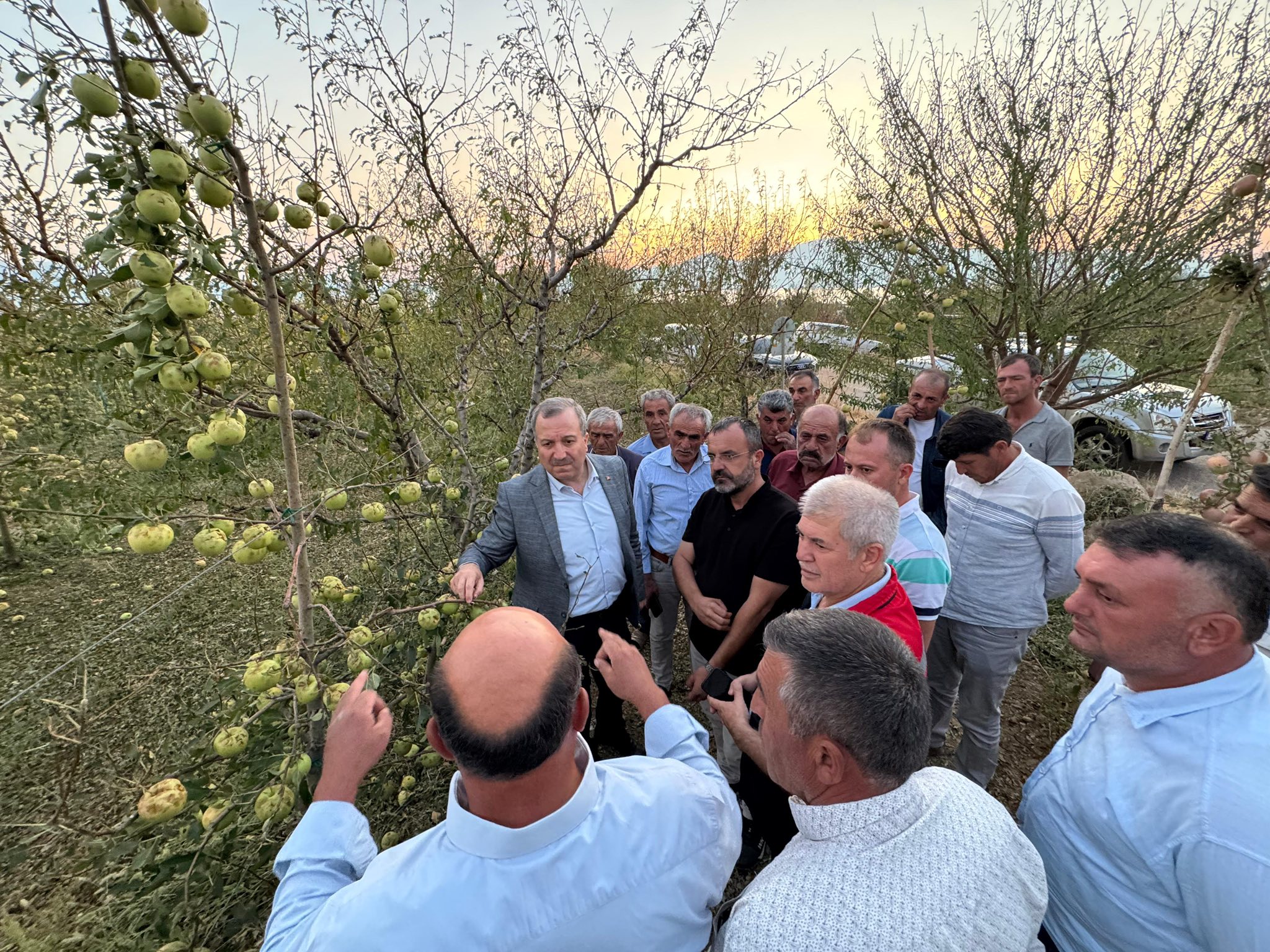 Gökgöz Alme Üreticileri (2)