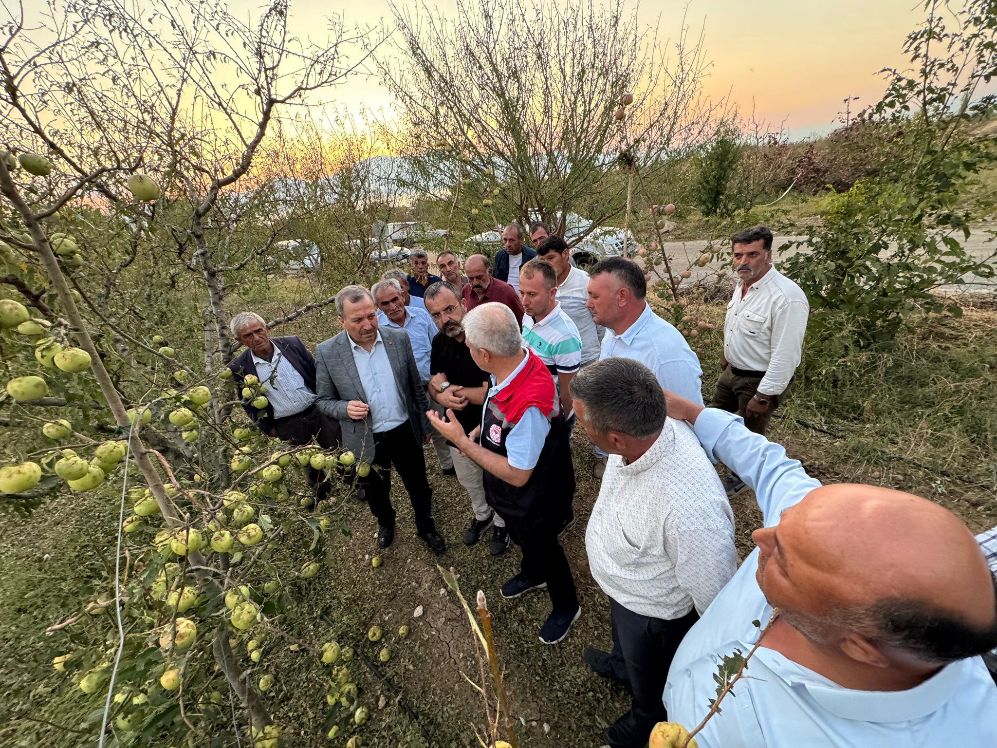 Gökgöz Alme Üreticileri (3)