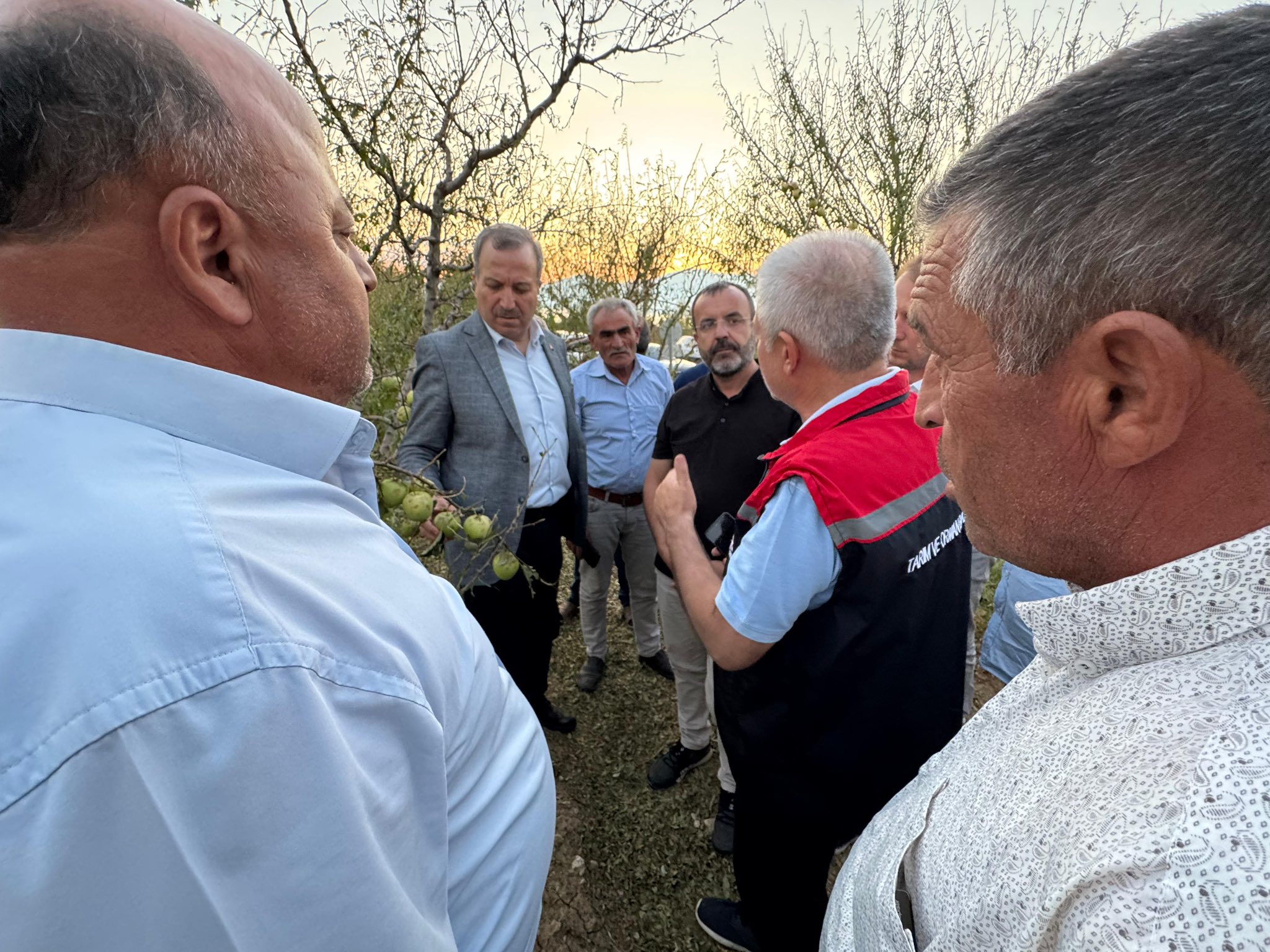 Gökgöz Alme Üreticileri (4)