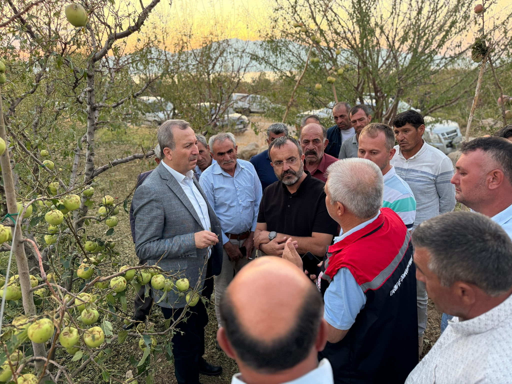 Gökgöz Alme Üreticileri (5)