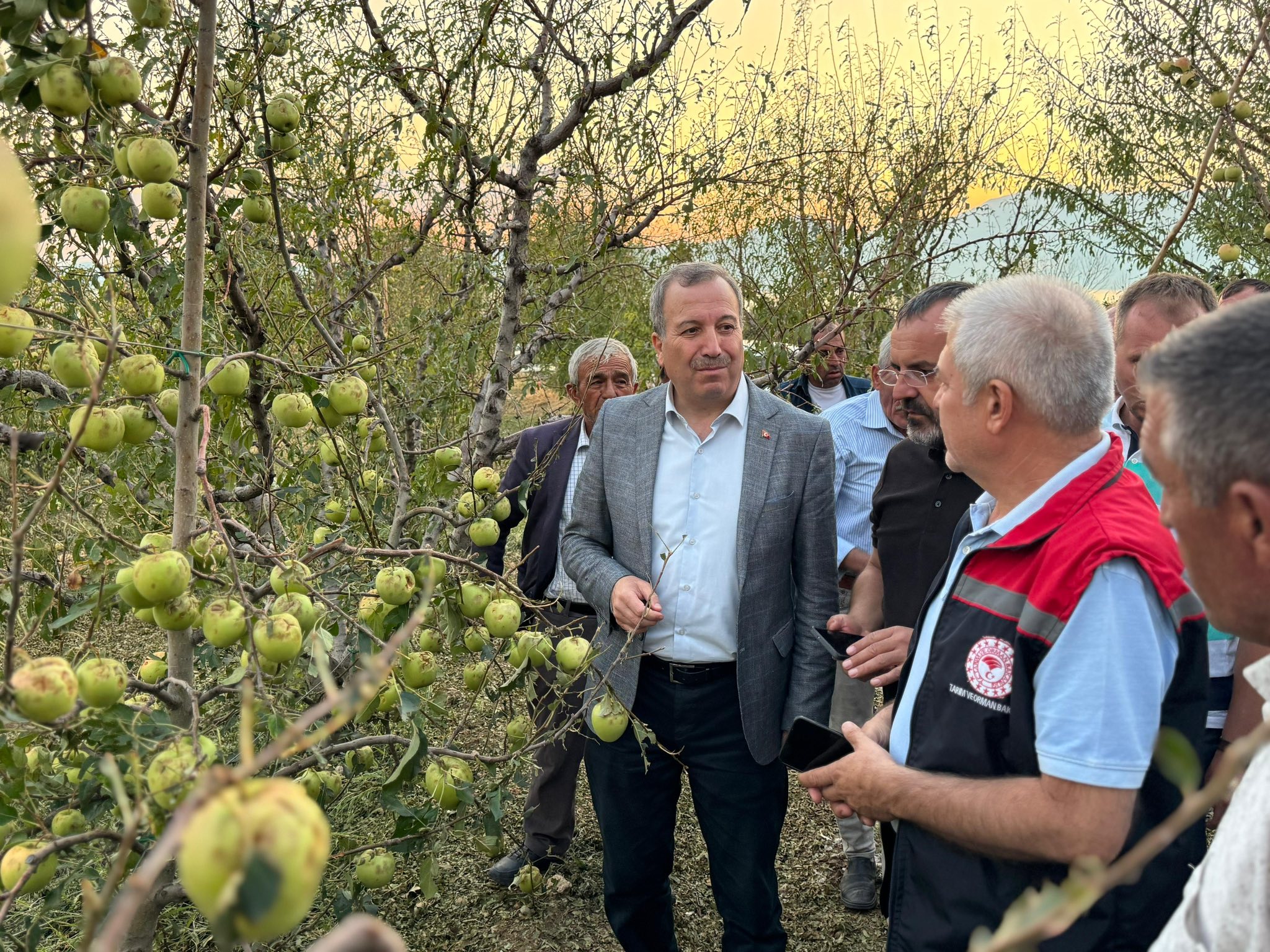 Gökgöz Alme Üreticileri (6)