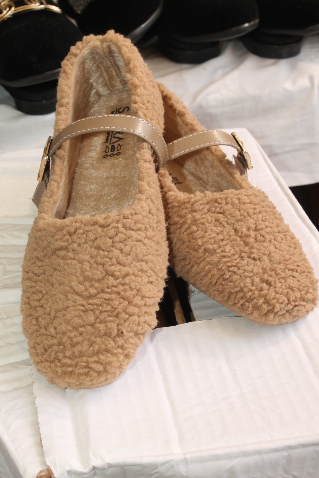 Linesporist Iç (1)-1