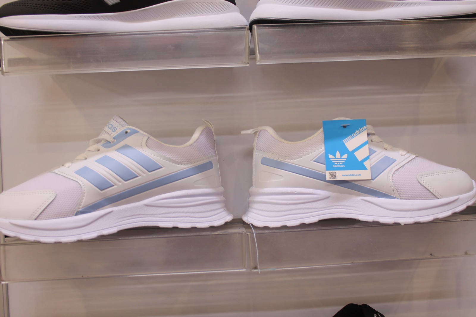 Linesporist Iç (11)