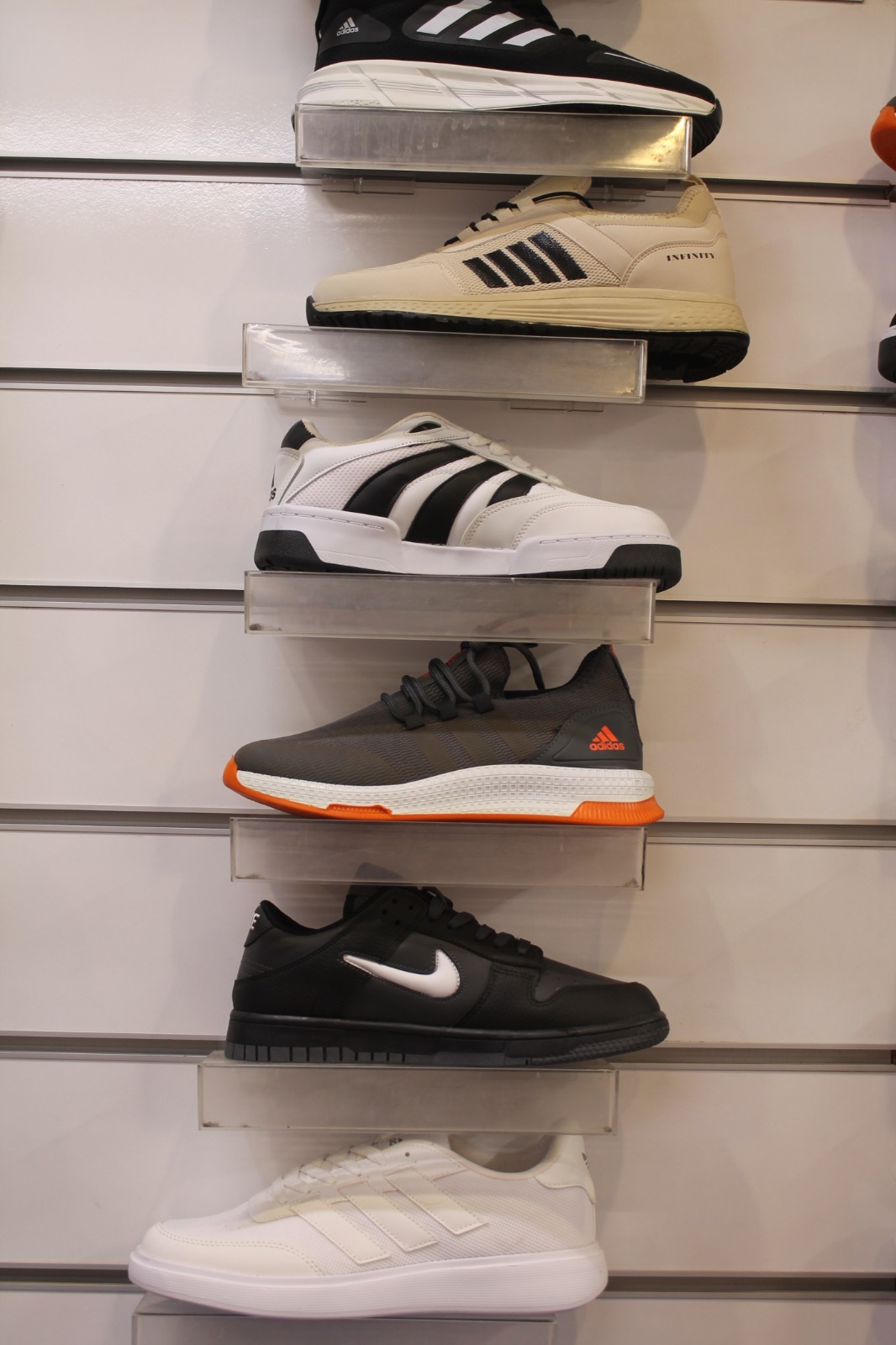 Linesporist Iç (12)