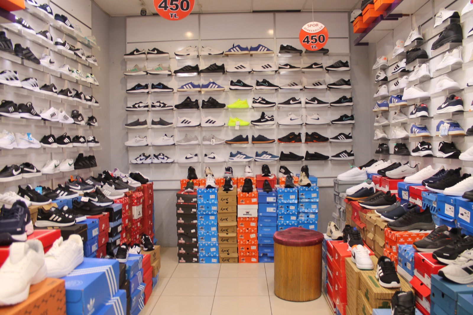 Linesporist Iç (13)