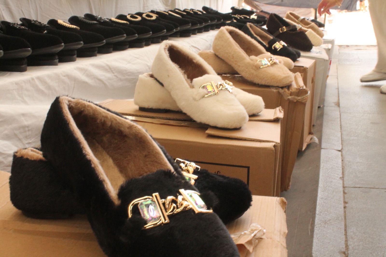 Linesporist Iç (14)