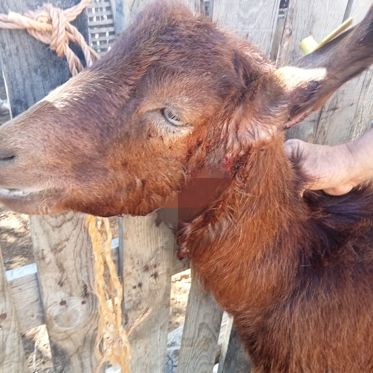 7E53C2Be 5Af1 4Ce3 A46F 06051254105B