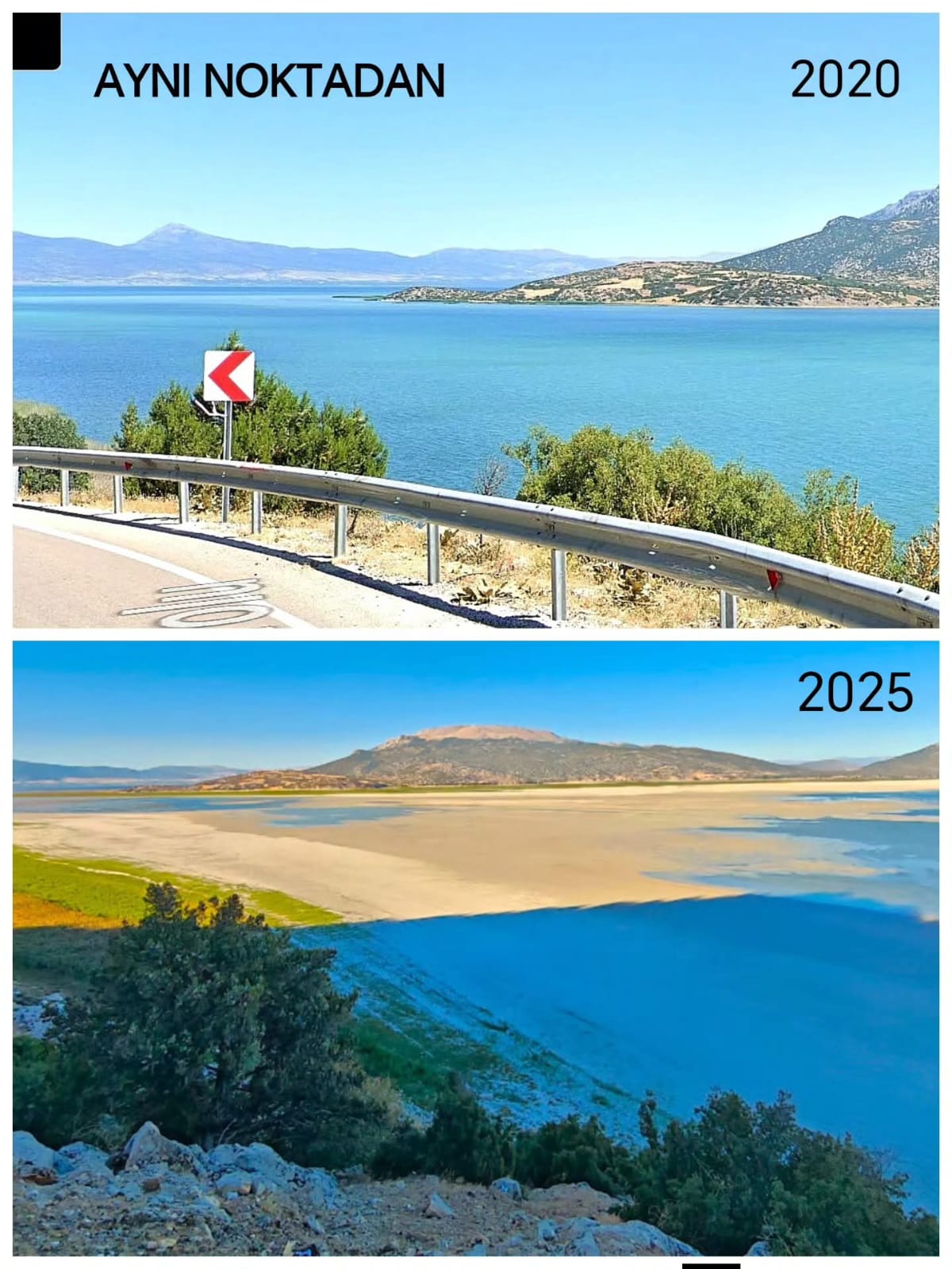 8Aca466B 50A0 417A Aaea D16E08A449F2