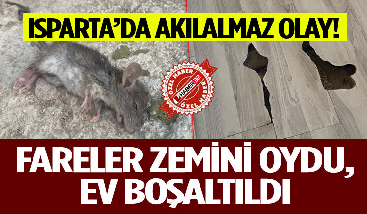 Fareler Zemini Oydu, Ev Boşaltıldı