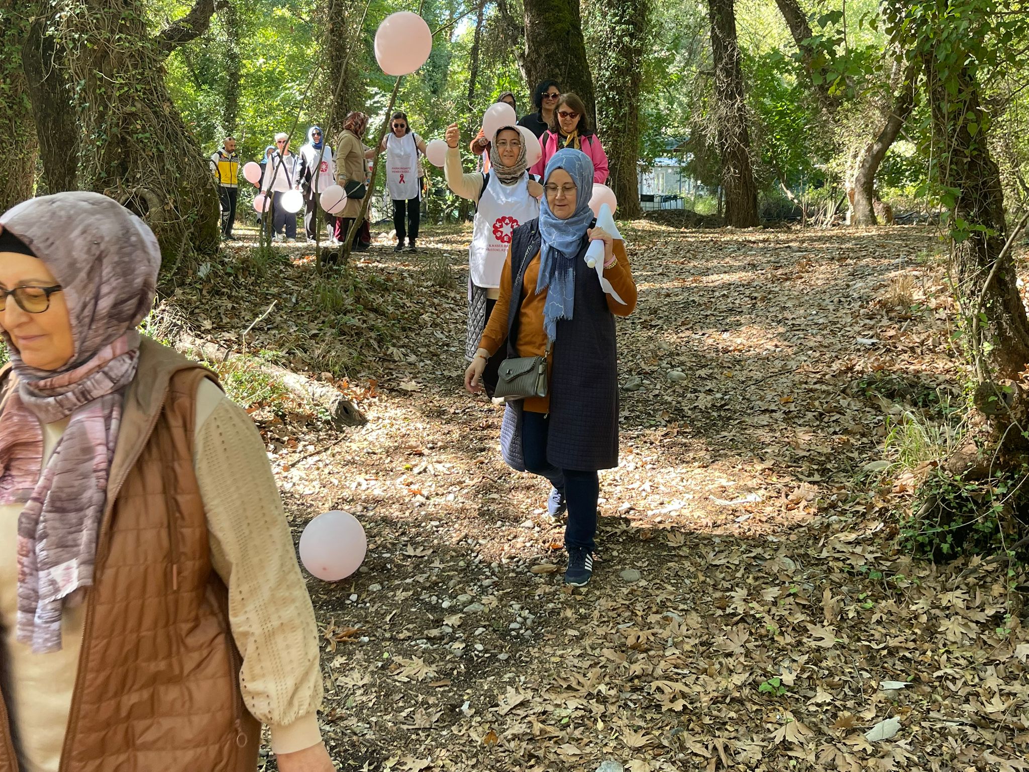 Kansev Yürüyüş (5)