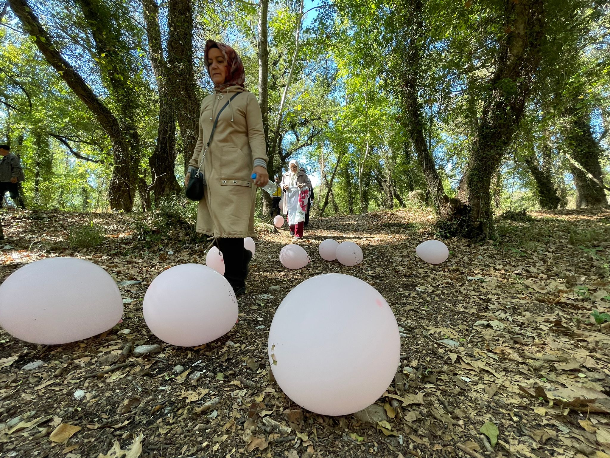 Kansev Yürüyüş (6)