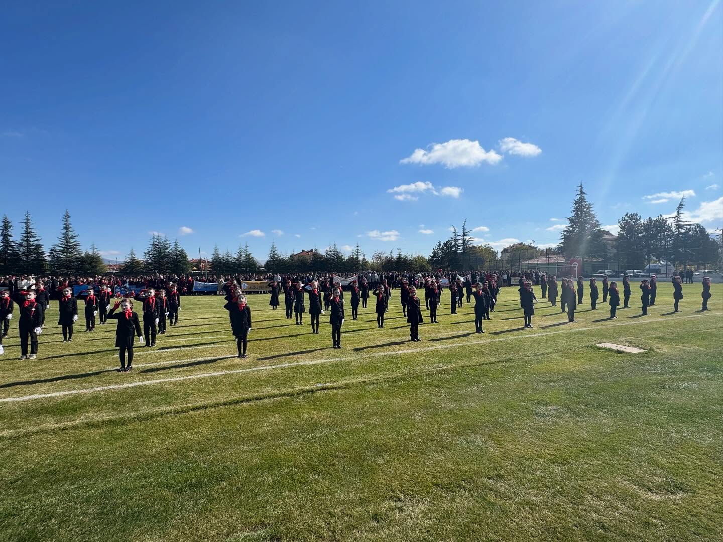 Şarkikaraağaç (3)