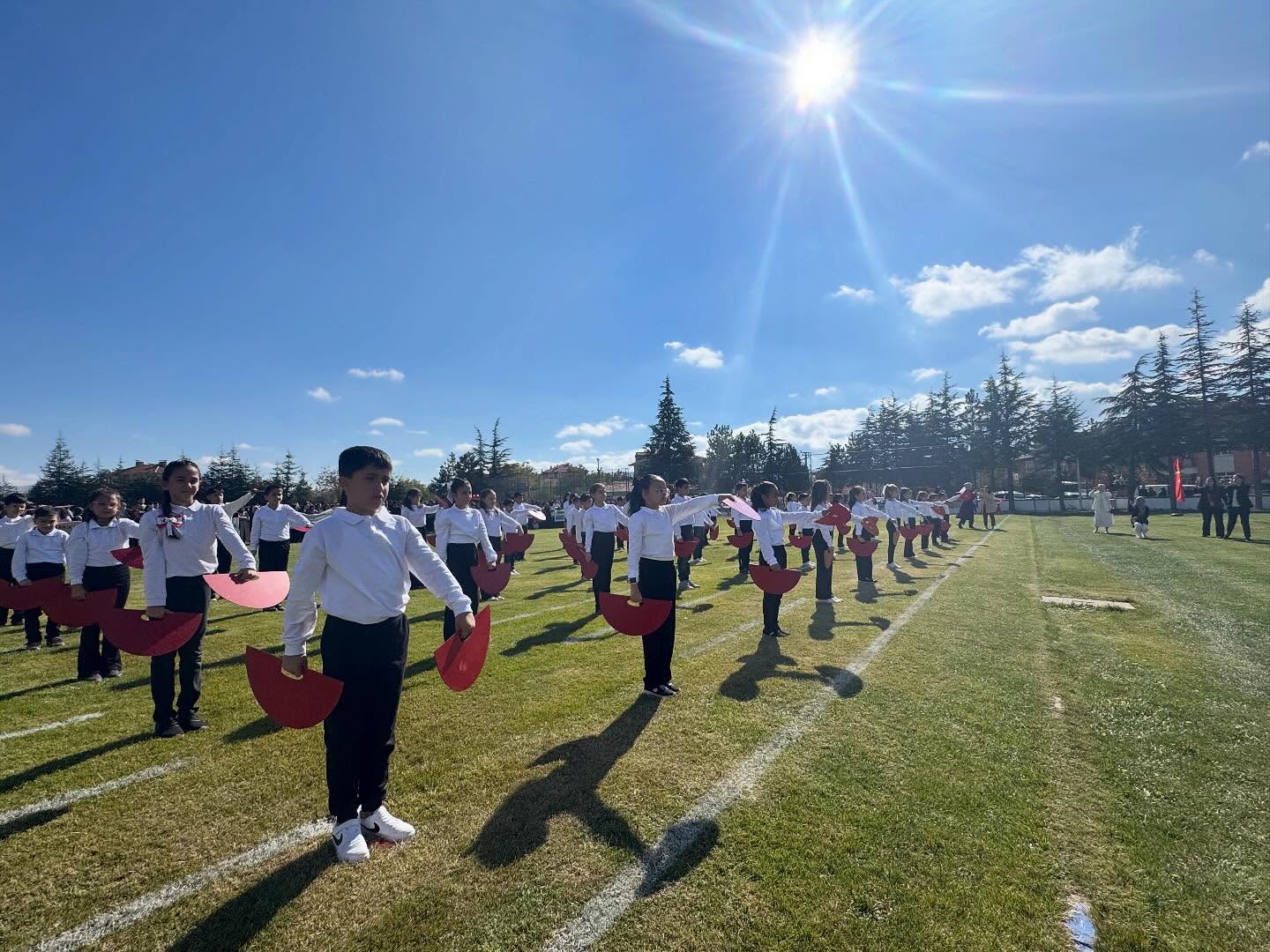 Şarkikaraağaç (6)