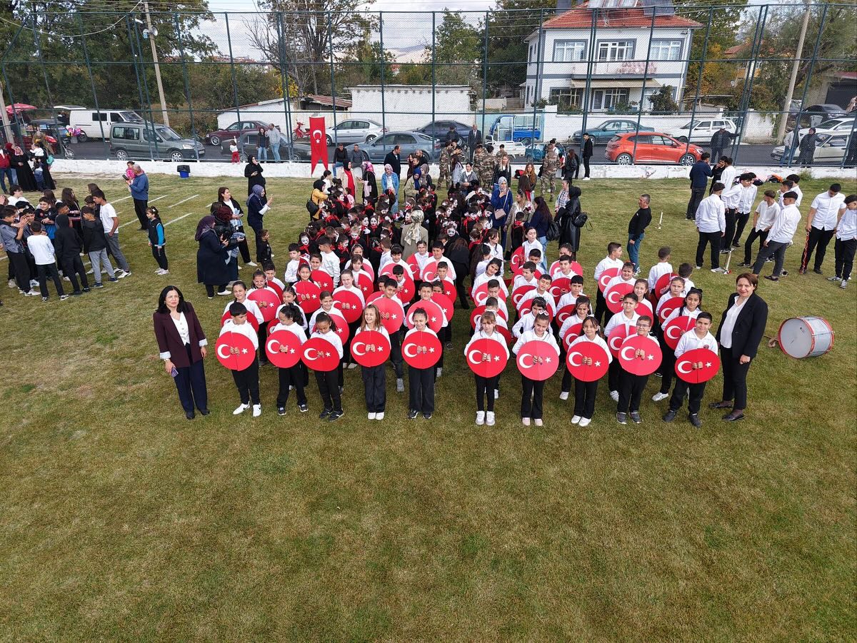 Şarkikaraağaç (7)