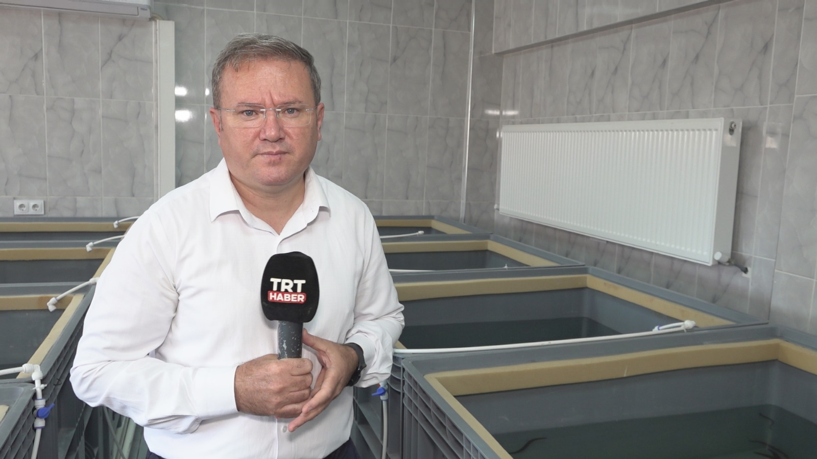 Tıbbi Sülük Iç (1)