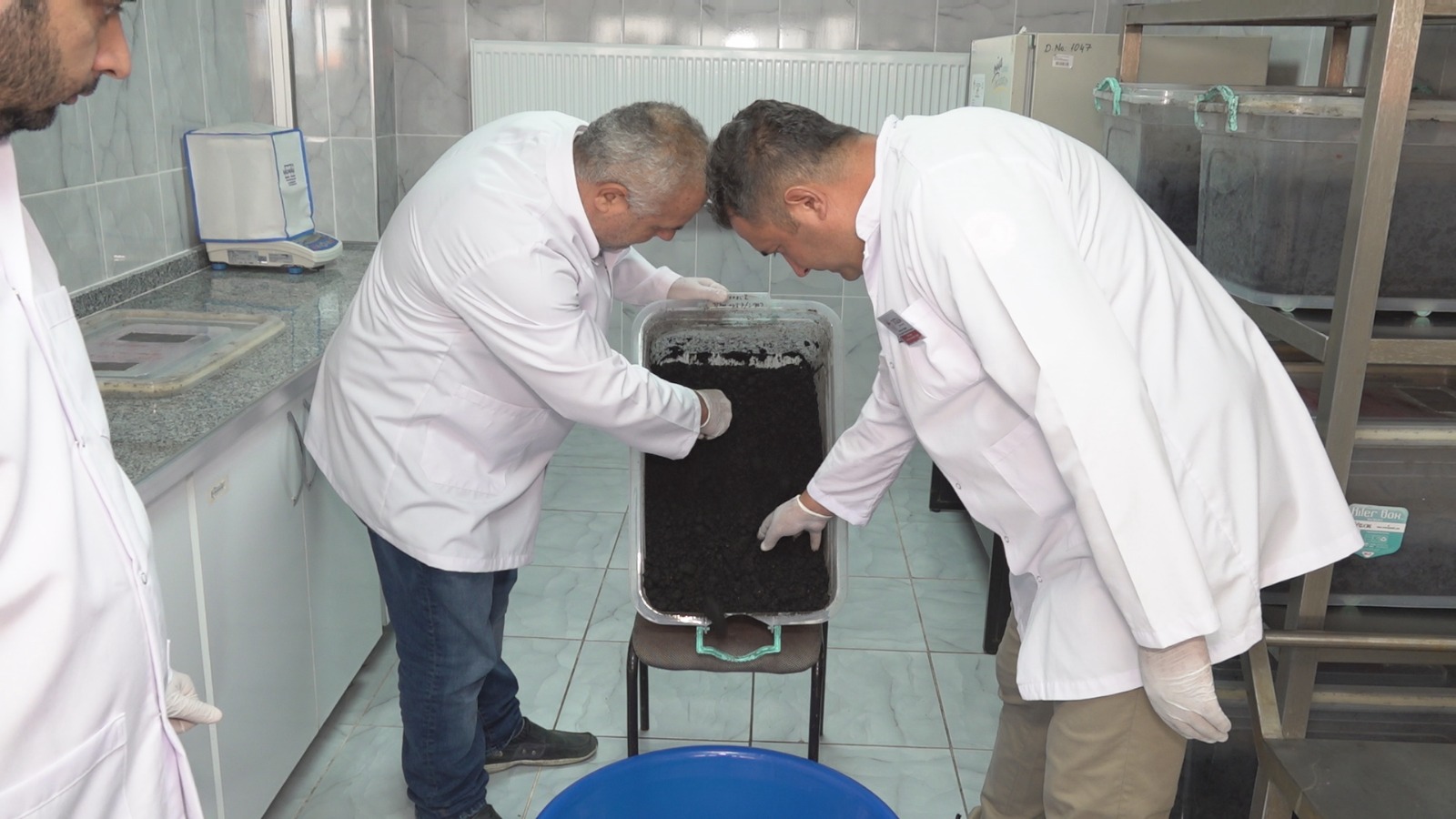 Tıbbi Sülük Iç (4)