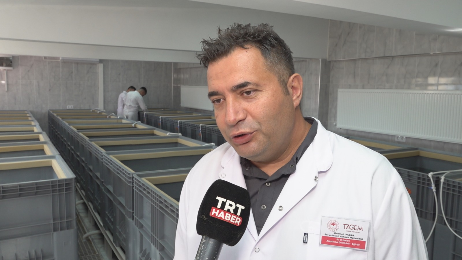 Tıbbi Sülük Iç (6)