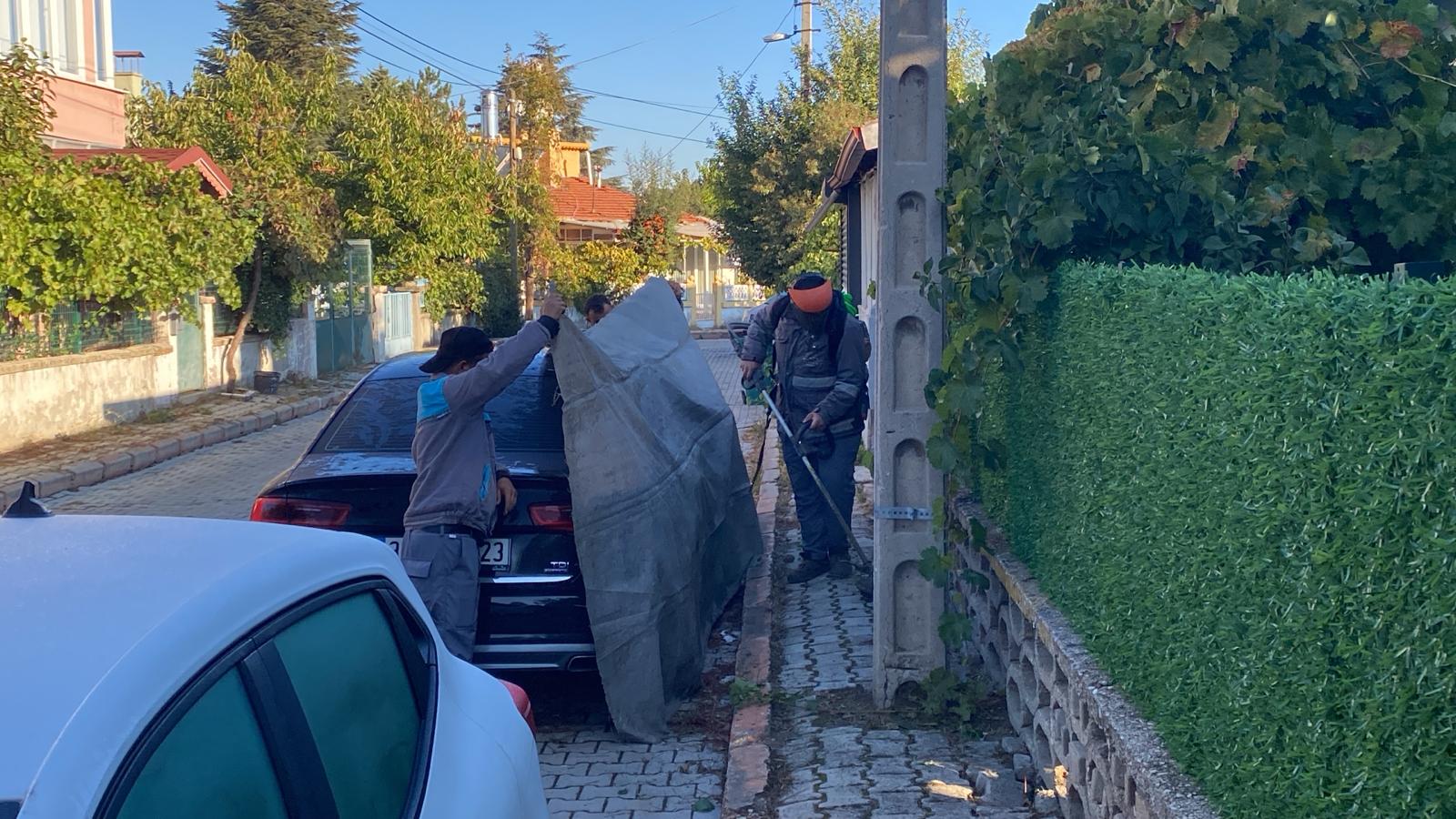 Whatsapp Image 2025 10 10 At 16.29.42